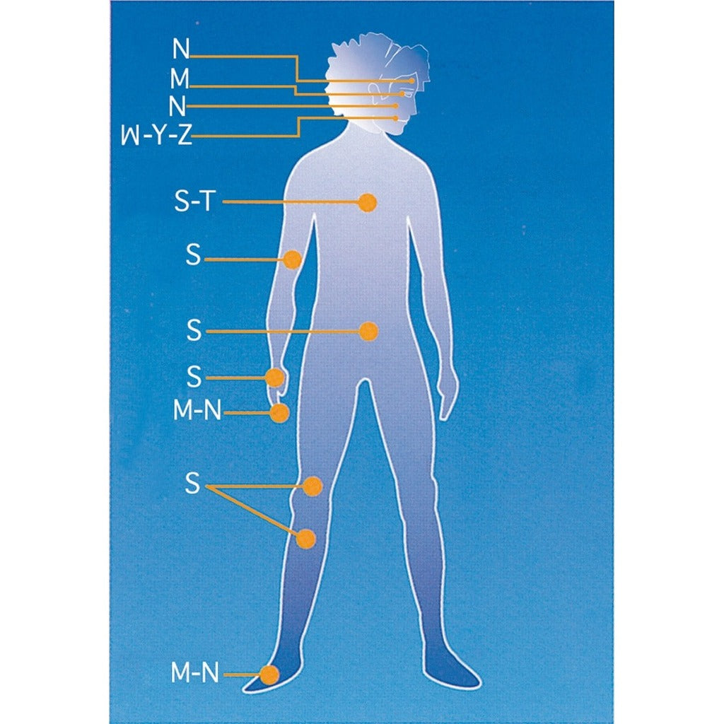 Fils de sutures Filapeau 90cm Fort - Boîte de 12