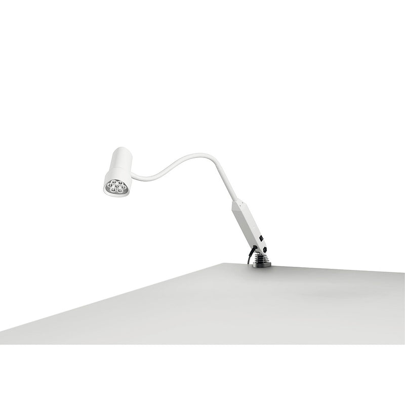 Lampe d'examen LED Halux N50 avec fixation